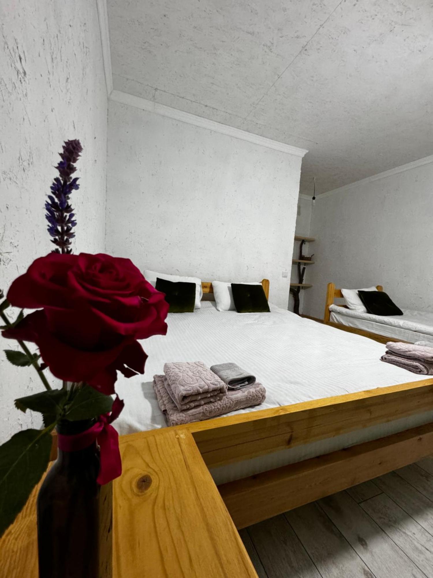 Eco Village Lodge Dzhetyoguz Экстерьер фото